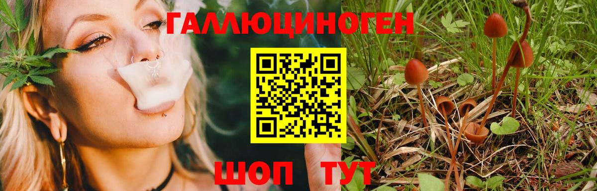 Дивногорск  Псилоцибиновые грибы мухоморы  Галлюциногенные грибы мицелий  Вход с VPN 